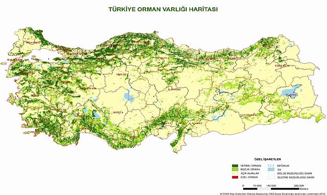 TürkiyeOrmanVarligiHaritasi